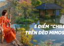 Gợi ý  Top5 địa điểm Check-in trên đèo Mimosa - Tp. Đà Lạt