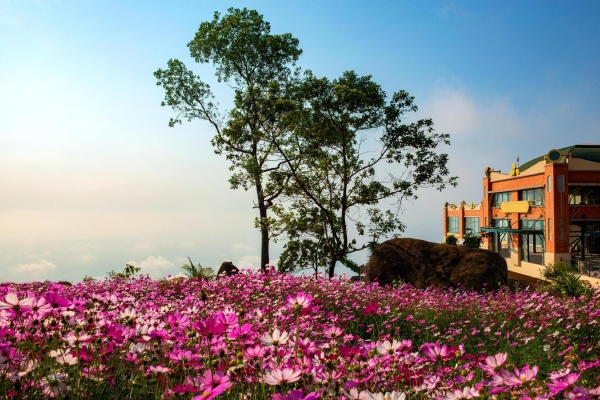 Tour Tây Ninh - Vùng Biên Thùy Màu Nhiệm 