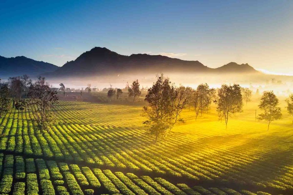 Vòng Quanh Tây Nguyên Đại Ngàn - Buôn Ma Thuột - Pleiku - KonTum