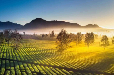 Vòng Quanh Tây Nguyên Đại Ngàn - Buôn Ma Thuột - Pleiku - KonTum